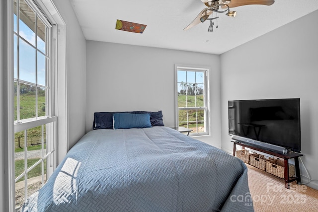 bedroom featuring ceiling fan and multiple windows