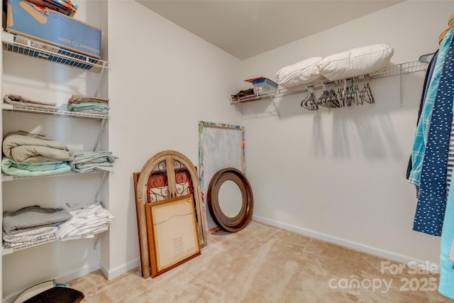 3040 Sunshower Hts, York, SC 29745 - walk in closet with carpet flooring