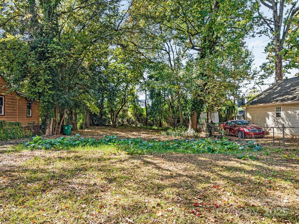 221 Plymouth Ave, Charlotte, NC 28206 - photo 2