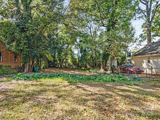 221 Plymouth Ave, Charlotte, NC 28206 - photo 2