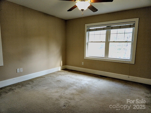 17 Lamar Ave, Asheville, NC 28803 - photo 12