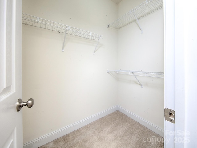 126 Dairy Farm Rd, Mooresville, NC 28115 - walk in closet with carpet flooring