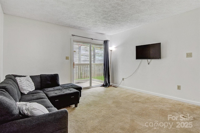 800 Meadowview Dr Unit # 2, Boone, NC 28607 - living area featuring carpet flooring, baseboards, and a textured ceiling