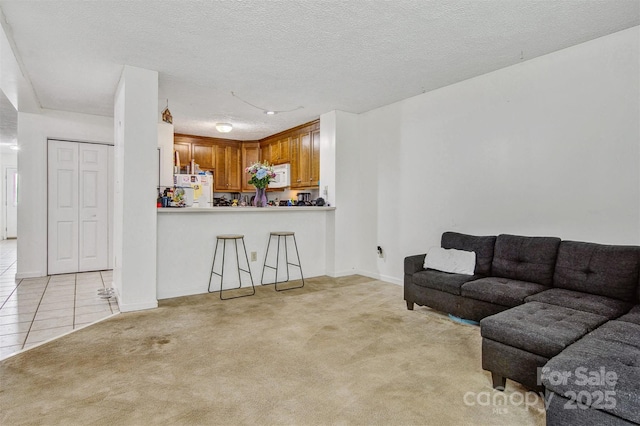 800 Meadowview Dr Unit # 2, Boone, NC 28607 - living area with light carpet, light tile patterned floors, a textured ceiling, and baseboards