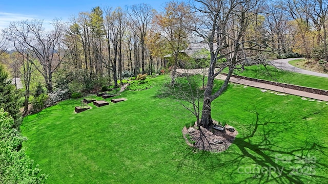 205 W Indrio Rd, Blowing Rock, NC 28605 - view of green lawn