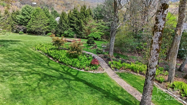 205 W Indrio Rd, Blowing Rock, NC 28605 - view of green lawn featuring a wooded view