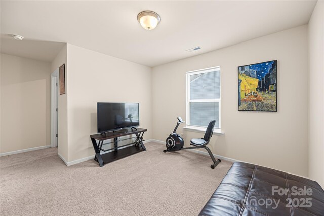269 Keating Place Dr, Fort Mill, SC 29708 - photo 35