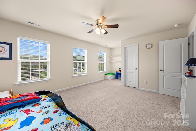 269 Keating Place Dr, Fort Mill, SC 29708 - photo 39