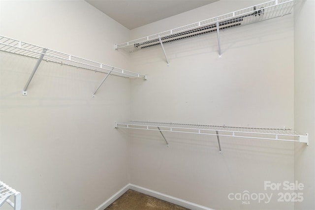 walk in closet featuring carpet floors