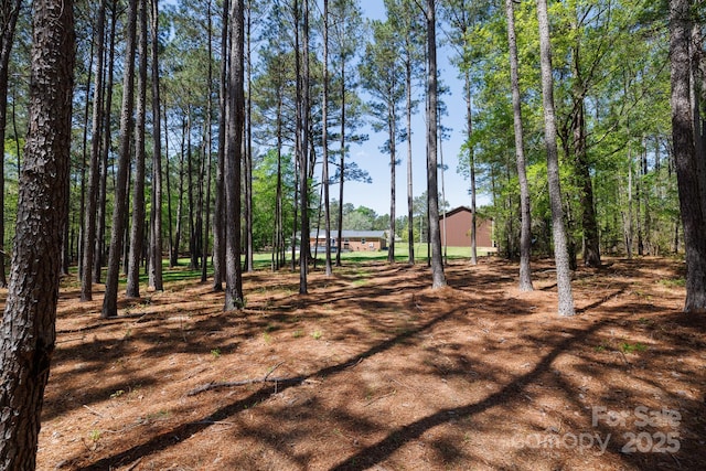 5381 Mount Carmel Rd, Heath Springs, SC 29058 - view of yard