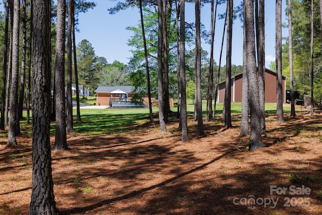 5381 Mount Carmel Rd, Heath Springs, SC 29058 - view of yard