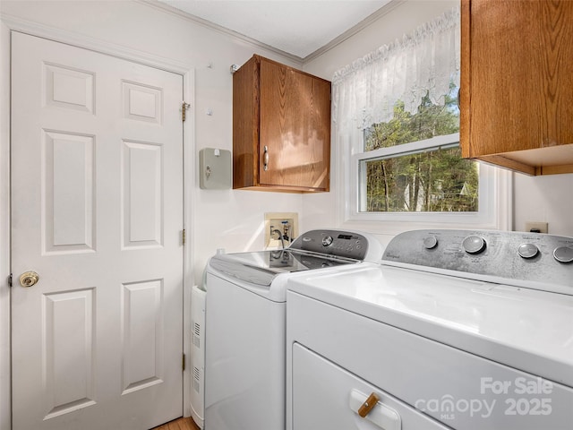 525 Maren Ct, Hendersonville, NC 28739 - photo 17