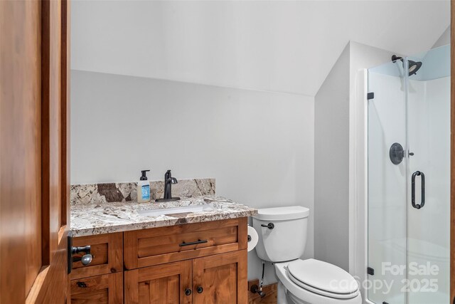 92 Gobblers Neck Dr, Nebo, NC 28761 - full bath with a shower stall, vanity, vaulted ceiling, and toilet