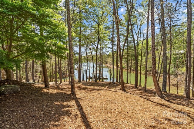 92 Gobblers Neck Dr, Nebo, NC 28761 - water view