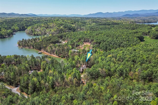 92 Gobblers Neck Dr, Nebo, NC 28761 - bird's eye view featuring a forest view and a water and mountain view