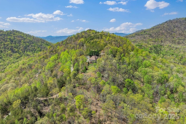 498 Pinnacle Pkwy, Union Mills, NC 28167 - property view of mountains featuring a forest view