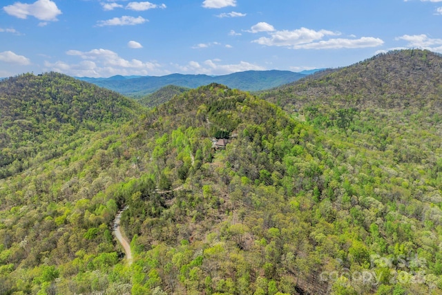 498 Pinnacle Pkwy, Union Mills, NC 28167 - property view of mountains featuring a wooded view
