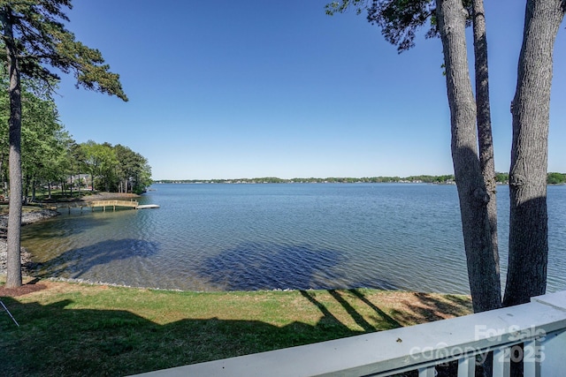 368 NW Dr, Davidson, NC 28036 - property view of water