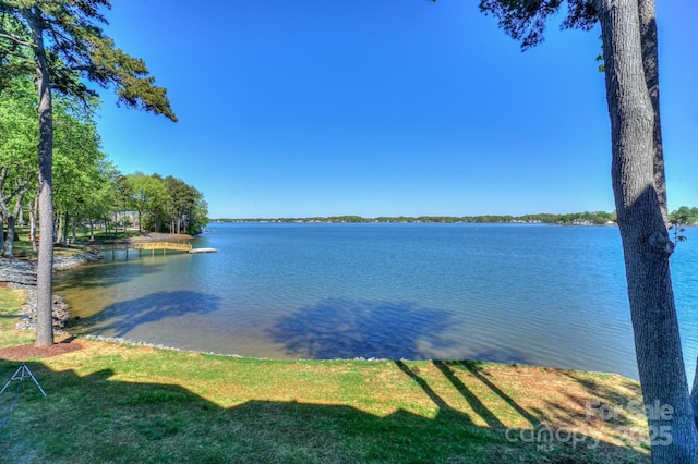 368 NW Dr, Davidson, NC 28036 - property view of water