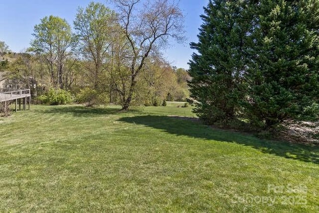 16 Devonshire Dr, Mills River, NC 28759 - photo 44