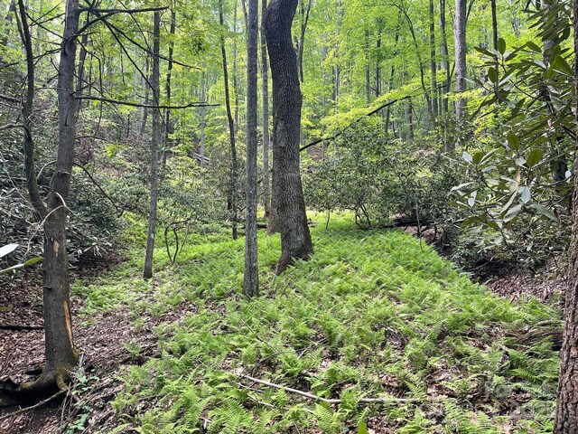LOT3 Heavenly Hill Rd Unit 3, Brevard, NC 28712 - photo 19