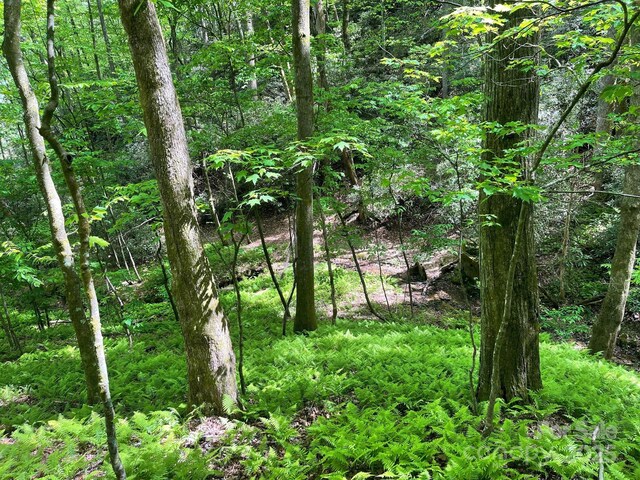 LOT3 Heavenly Hill Rd Unit 3, Brevard, NC 28712 - photo 21