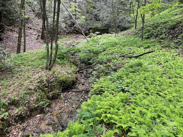 LOT3 Heavenly Hill Rd Unit 3, Brevard, NC 28712 - photo 22