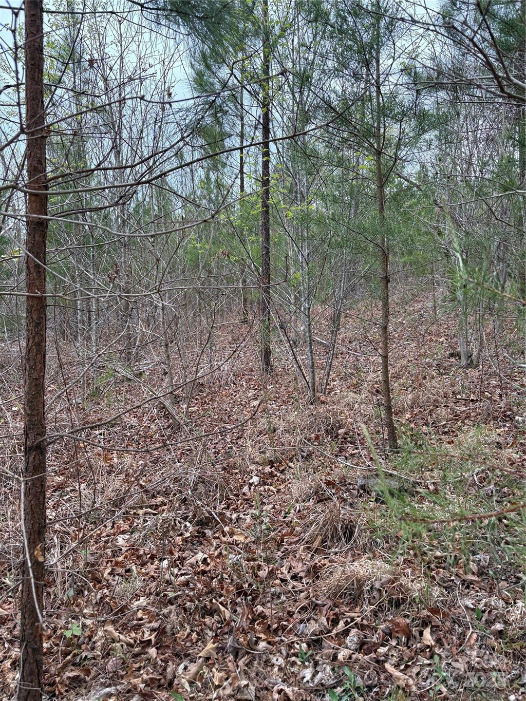 0 Rose Hollow Dr, Mill Spring, NC 28756 - photo 1