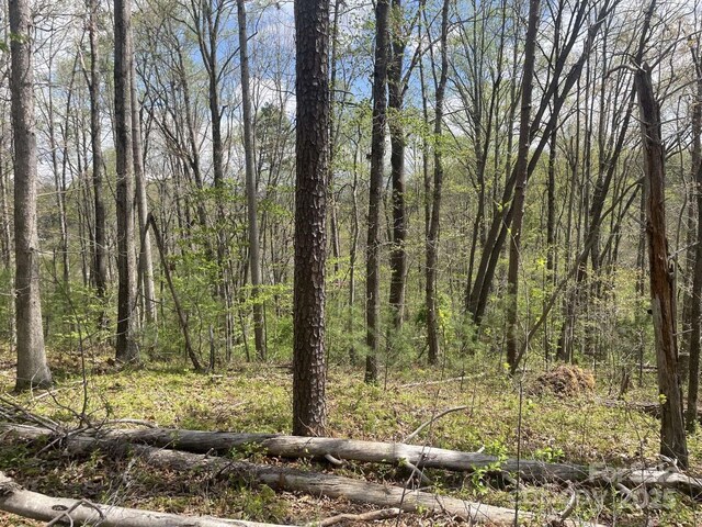 165 Richmond Ridge Rd, Asheville, NC 28806 - photo 6