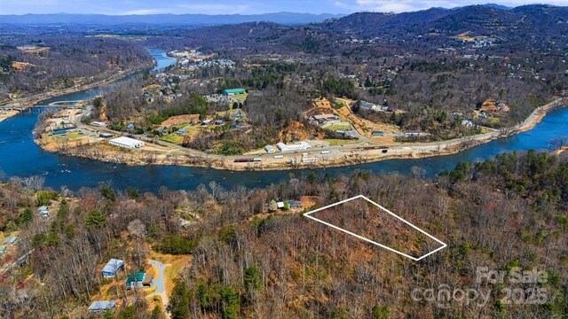165 Richmond Ridge Rd, Asheville, NC 28806 - photo 7