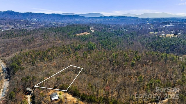 165 Richmond Ridge Rd, Asheville, NC 28806 - photo 2