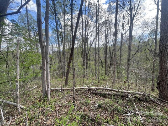165 Richmond Ridge Rd, Asheville, NC 28806 - photo 3