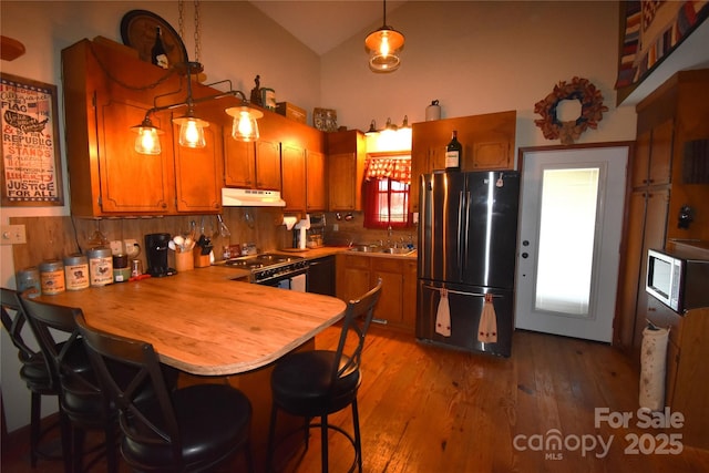 kitchen with appliances with stainless steel finishes, a sink, high vaulted ceiling, a peninsula, and under cabinet range hood