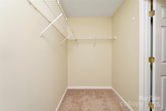 walk in closet featuring carpet