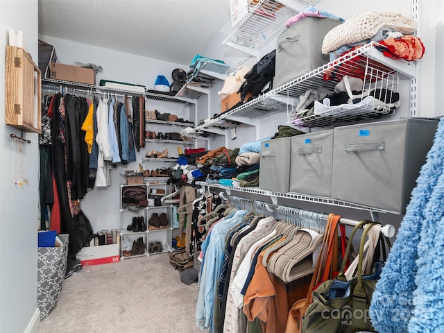 18 Birdsong Ln, Candler, NC 28715 - walk in closet featuring carpet floors