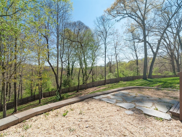 18 Birdsong Ln, Candler, NC 28715 - view of yard featuring a view of trees and a fenced backyard