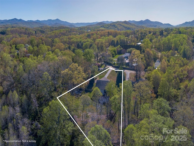 18 Birdsong Ln, Candler, NC 28715 - aerial view with a view of trees and a mountain view