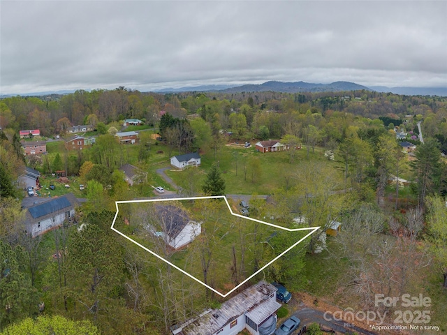 aerial view with a forest view and a mountain view