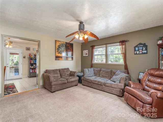 383 Pioneer Dr, Waynesville, NC 28786 - photo 9