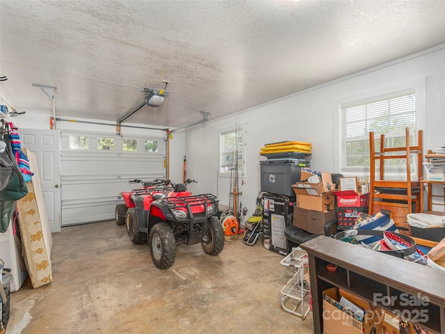 383 Pioneer Dr, Waynesville, NC 28786 - photo 19