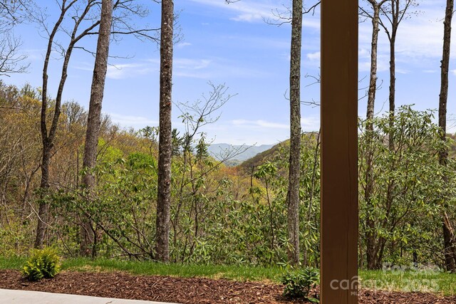 mountain view with a view of trees