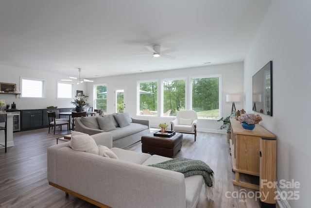 living room featuring wine cooler, a ceiling fan, and wood finished floors