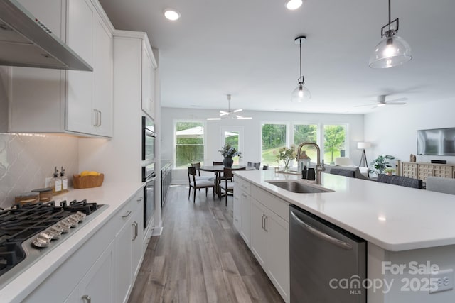 kitchen featuring appliances with stainless steel finishes, a ceiling fan, under cabinet range hood, and a sink