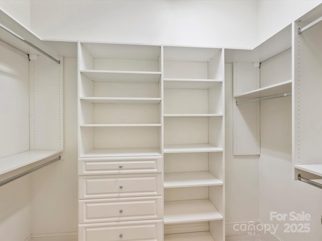 2616 Colton Dr, Charlotte, NC 28211 - view of spacious closet