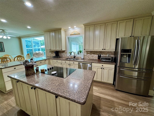 271 Ikerd Dr SE, Concord, NC 28025 - kitchen featuring tasteful backsplash, a sink, a ceiling fan, wood finished floors, and stainless steel appliances