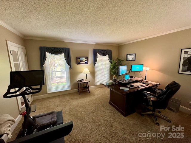 271 Ikerd Dr SE, Concord, NC 28025 - home office featuring baseboards, a textured ceiling, crown molding, and carpet floors