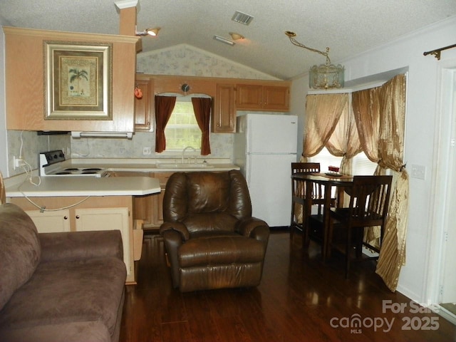 kitchen with dark wood finished floors, white appliances, vaulted ceiling, light countertops, and a sink