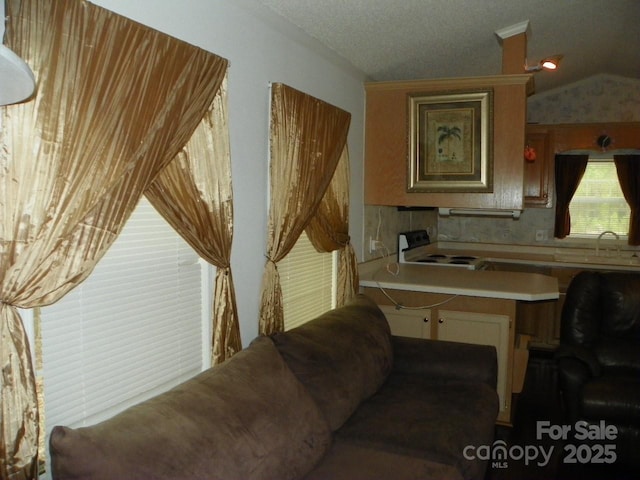 interior space with lofted ceiling