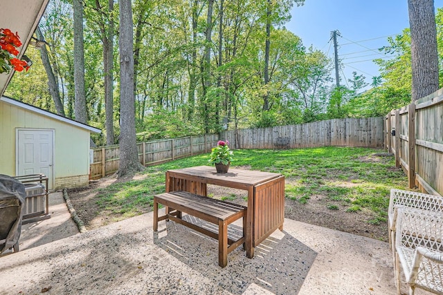 view of yard with a fenced backyard and a patio