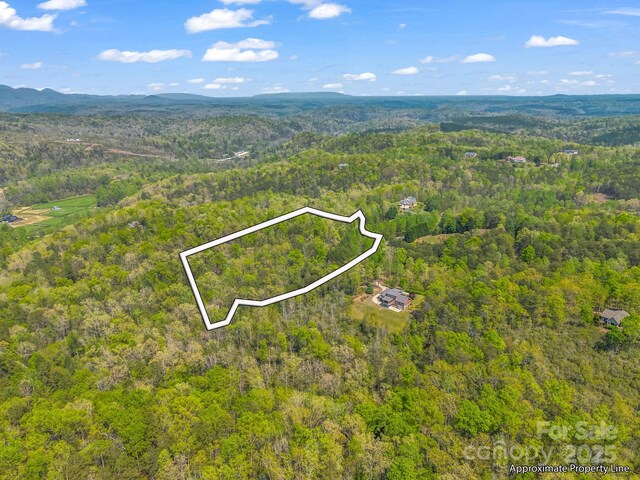LOT14 Forest Glen Trl, Lake Lure, NC 28746